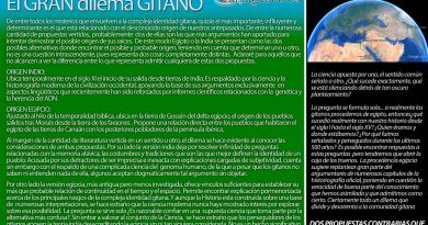 Canal Gitano - Alberto Sallarés - El GRAN dilema GITANO - ¿Egipto ó India?